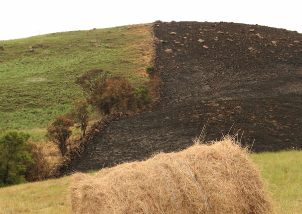 firebreak